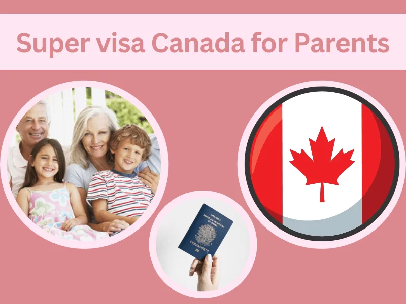 Super Visa Income Requirements 2025 | Updated LICO Table & Eligibility Guide
