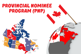 The K7 Immigration PNP Points Maximizer: Are You Leaving Points on the Table?